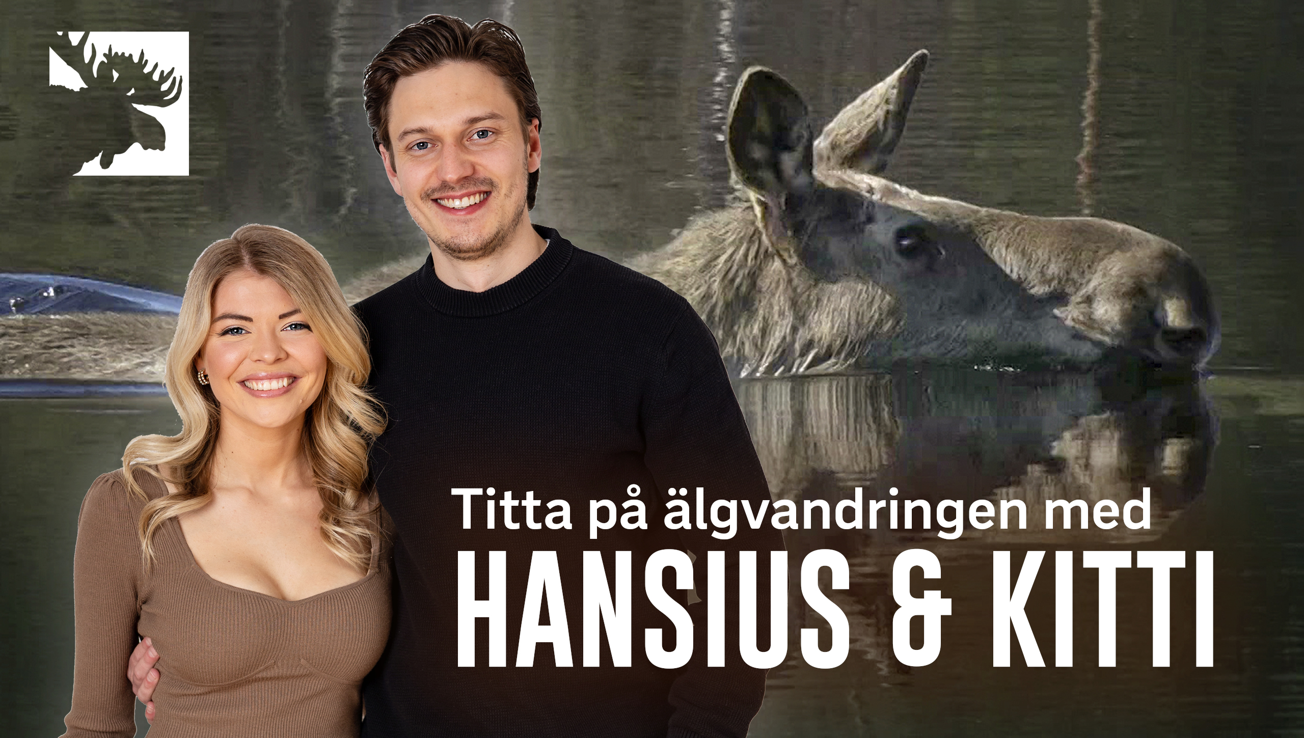 emil hansius programledare musikhjälpen 2024 rekord J:SON Agency jsonagency json agency management manager agent jakob norlin fd andersson linnea wikblad assia dahir sveriges radio p3 radiohjälpen svt svtplay.se
